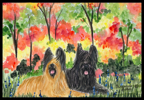 18 x 27 in. Briard Indoor Outdoor Mat