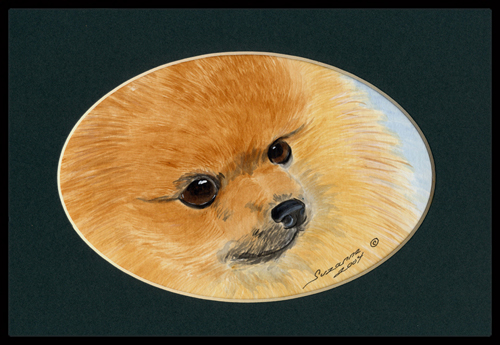 Pomeranian Indoor Outdoor Mat