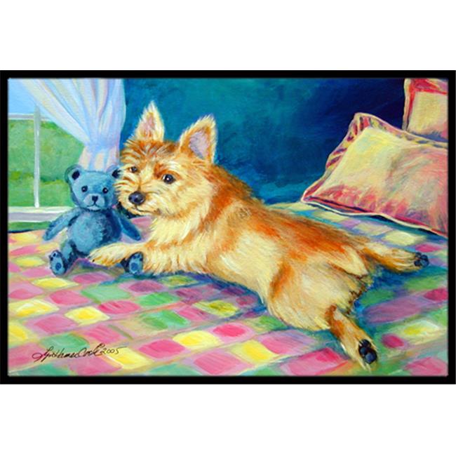 Carolines Treasures 7275MAT 18 x 27 in. Norwich Terrier Indoor Outdoor Mat