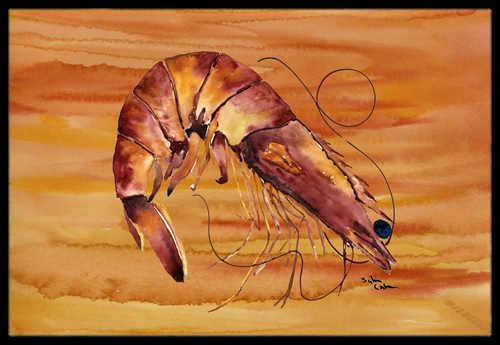 Shrimp Indoor Or Outdoor Mat - 18 x 27 in.
