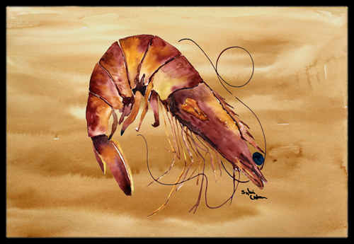 Shrimp Indoor Or Outdoor Mat 18 x 27 in.