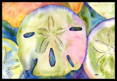 Sand Dollar Indoor Or Outdoor Mat - 18 x 27 in.