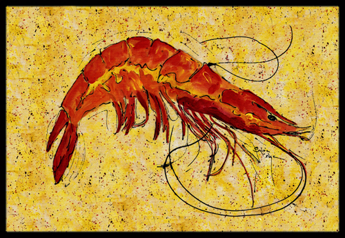 Shrimp Indoor Or Outdoor Mat - 18 x 27 in.