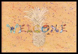 Pineapple Indoor Or Outdoor Mat - 18 x 27 in.