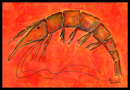Shrimp Indoor & Outdoor Doormat