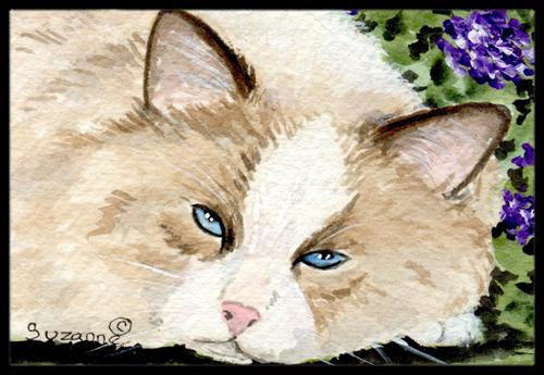 Cat Indoor & Outdoor Doormat