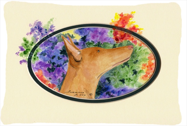 Pharaoh Hound Decorative Indoor & Outdoor Fabric Pillow - 12 x 16 in.