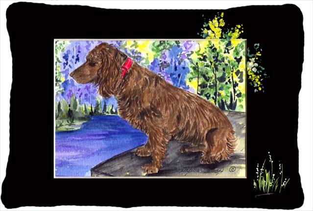 12 x 16 in. Boykin Spaniel Decorative Indoor & Outdoor Fabric Pillow