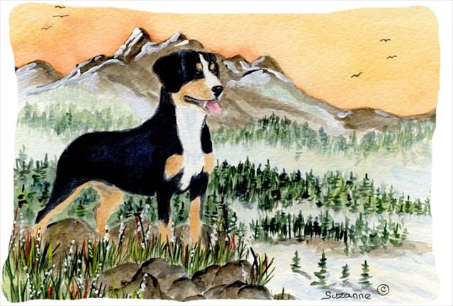 Entlebucher Mountain Dog Decorative Indoor & Outdoor Fabric Pillow