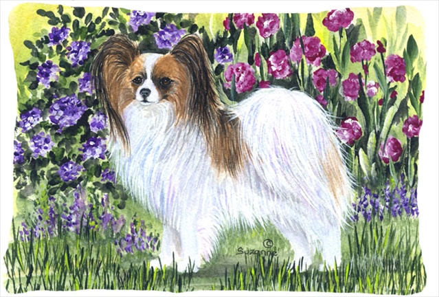 12 x 16 in. Papillon Decorative Indoor & Outdoor Fabric Pillow