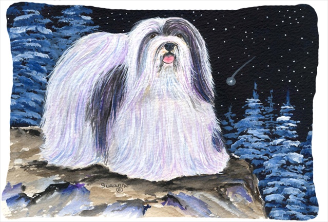 Starry Night Havanese Decorative Indoor & Outdoor Fabric Pillow