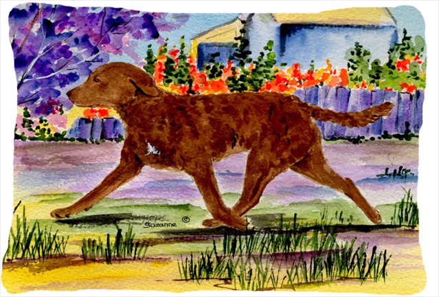 Chesapeake Bay Retriever Decorative Indoor & Outdoor Fabric Pillow