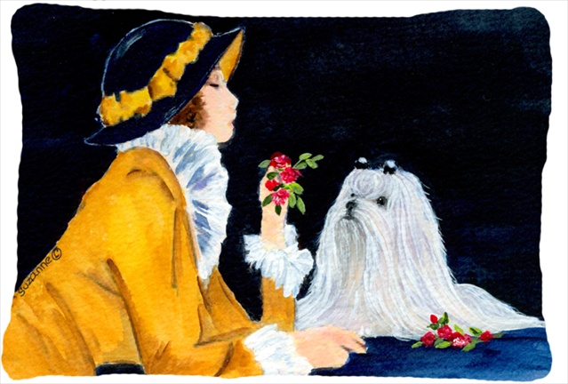 Lady With Her Maltese Decorative Indoor & Outdoor Fabric Pillow