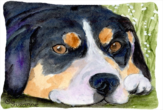 Entlebucher Mountain Dog Decorative Indoor & Outdoor Fabric Pillow