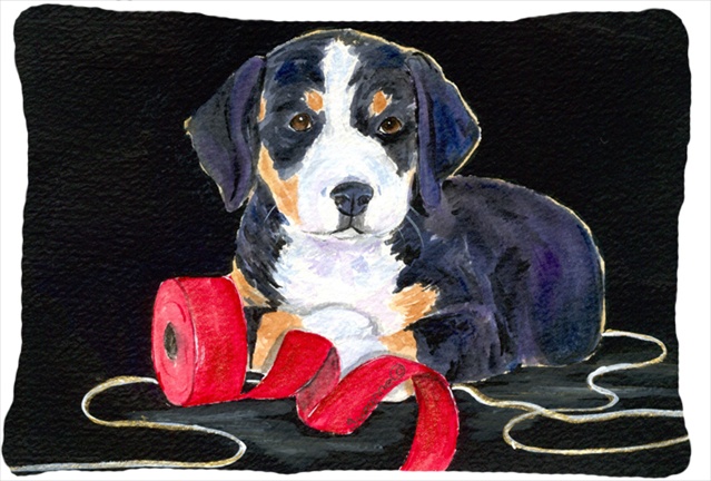 Entlebucher Mountain Dog Decorative Indoor & Outdoor Fabric Pillow