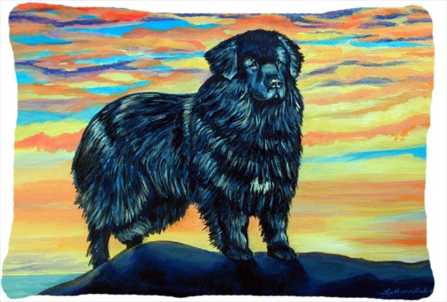 Newfoundland Decorative Indoor & Outdoor Fabric Pillow