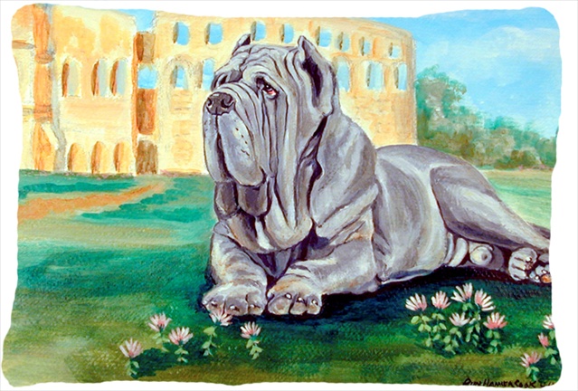 Neapolitan Mastiff Decorative Indoor & Outdoor Fabric Pillow