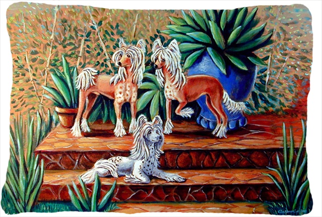 12 x 16 in. Chinese Crested Decorative Indoor & Outdoor Fabric Pillow