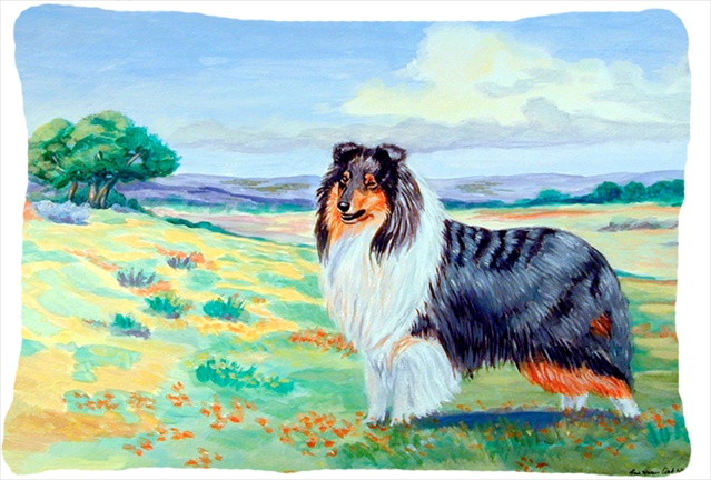 Collie Decorative Indoor & Outdoor Fabric Pillow