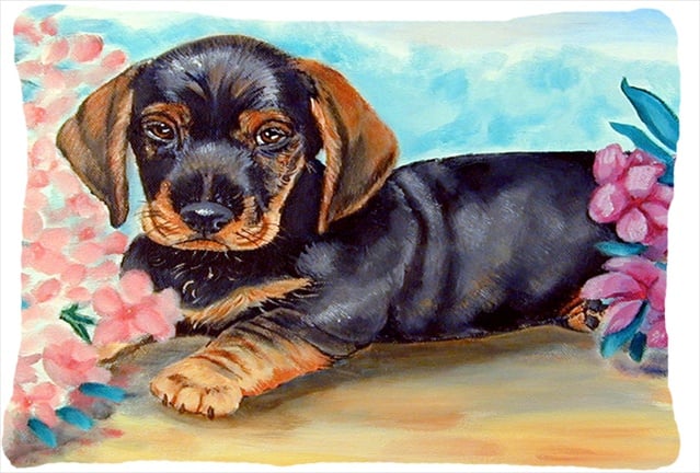 Dachshund Decorative Indoor & Outdoor Fabric Pillow