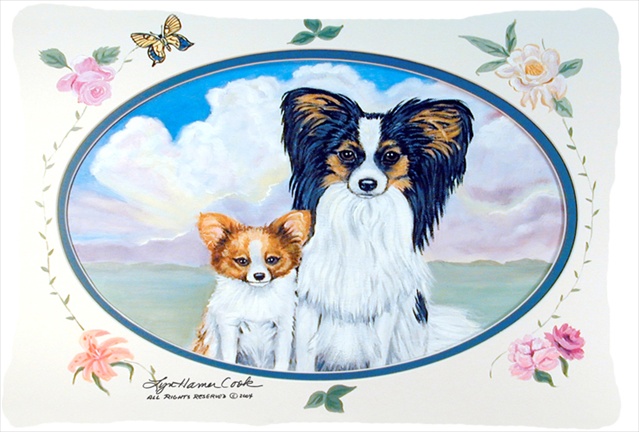 Papillon Decorative Indoor & Outdoor Fabric Pillow