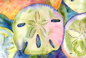 8545PILLOWCASE Sand Dollar Moisture Wicking Fabric Standard Pillowcase - 20 x 30 in.
