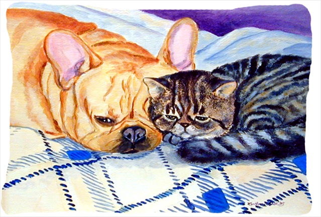 Cat Indoor & Outdoor Decorative Fabric Pillow 12 x 16 in.