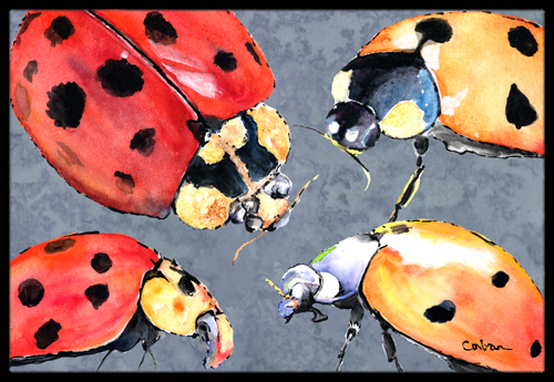 Lady Bug Multiple Indoor Or Outdoor Doormat - 18 x 27 in.