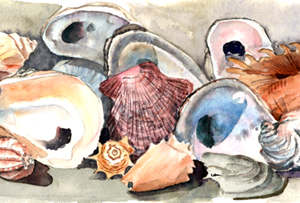 Sea Shells Moisture Wicking Fabric Standard Pillowcase