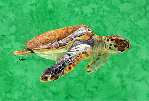 Turtle Swim 2 Moisture Wicking Fabric Standard Pillowcase
