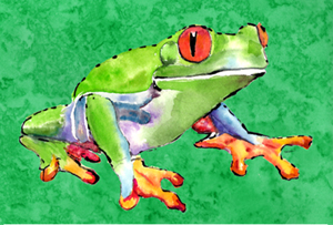 Frog Moisture Wicking Fabric Standard Pillowcase - 20 x 30 in.