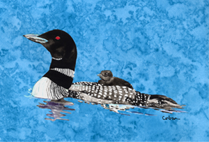 Loon Moisture Wicking Fabric Standard Pillowcase