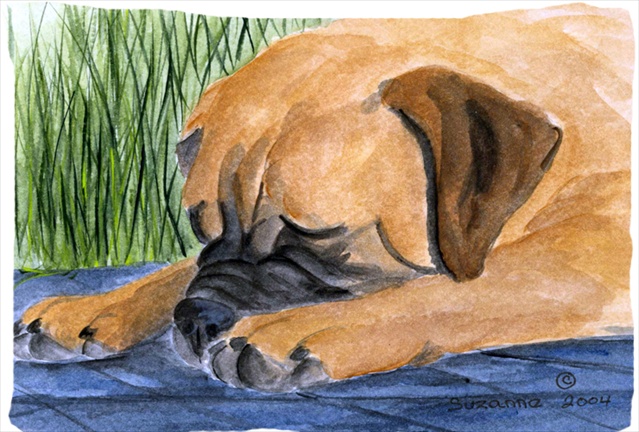Bullmastiff Moisture Wicking Fabric Standard Pillowcase - 20 x 30 in.