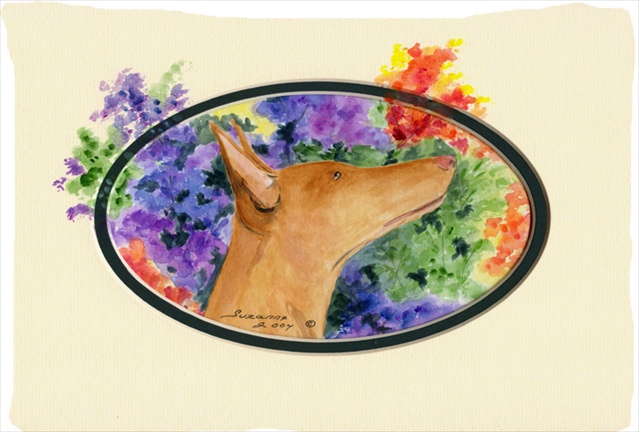 Pharaoh Hound Moisture Wicking Fabric Standard Pillowcase
