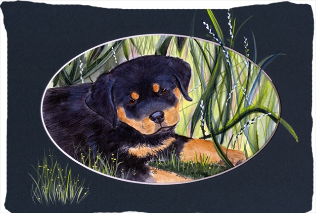 Rottweiler Moisture Wicking Fabric Standard Pillowcase - 20 x 30 in.