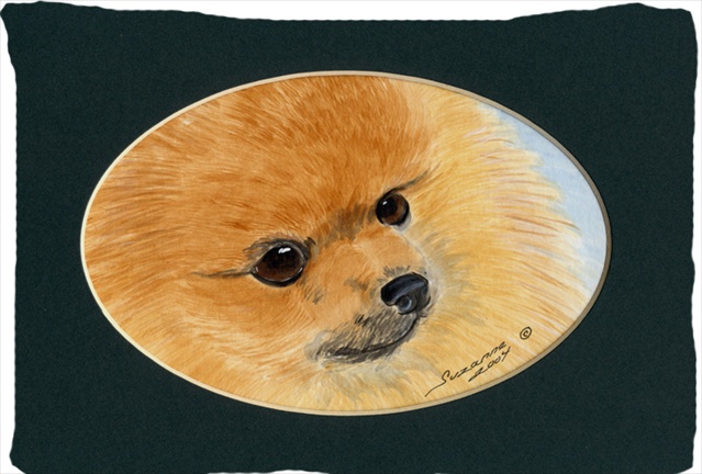 Pomeranian Moisture Wicking Fabric Standard Pillowcase - 20 x 30 in.