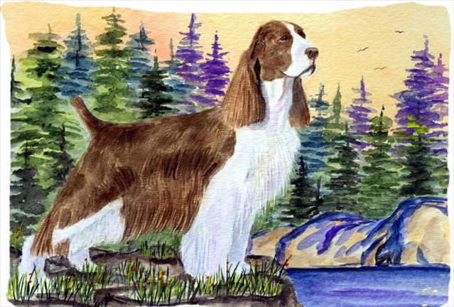Springer Spaniel Moisture Wicking Fabric Standard Pillowcase - 20 x 30 in.