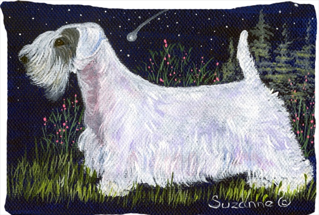 Sealyham Terrier Moisture Wicking Fabric Standard Pillowcase