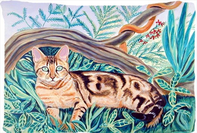 20.5 x 30 in. Cat - Maine Coon Moisture Wicking Fabric Standard Pillowcase