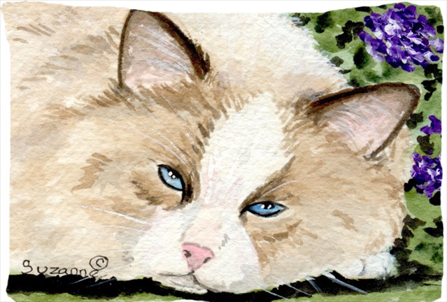 Cat Moisture Wicking Fabric Standard Pillowcase