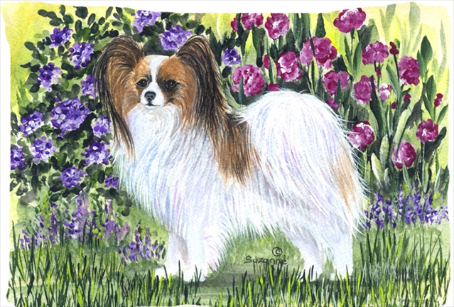Papillon Moisture Wicking Fabric Standard Pillowcase 20.5 x 30 in.