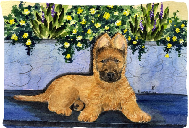 20.5 x 30 in. Briard Moisture Wicking Fabric Standard Pillowcase