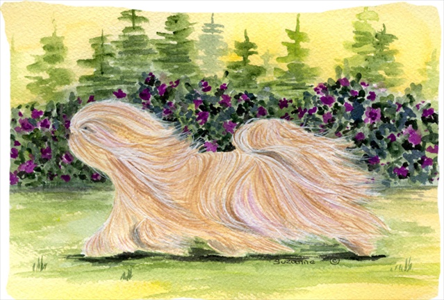 20.5 x 30 in. Lhasa Apso Moisture Wicking Fabric Standard Pillowcase