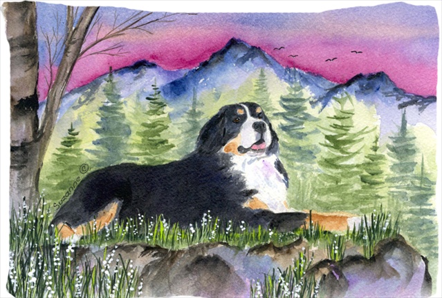 20.5 x 30 in. Bernese Mountain Dog Moisture Wicking Fabric Standard Pillowcase