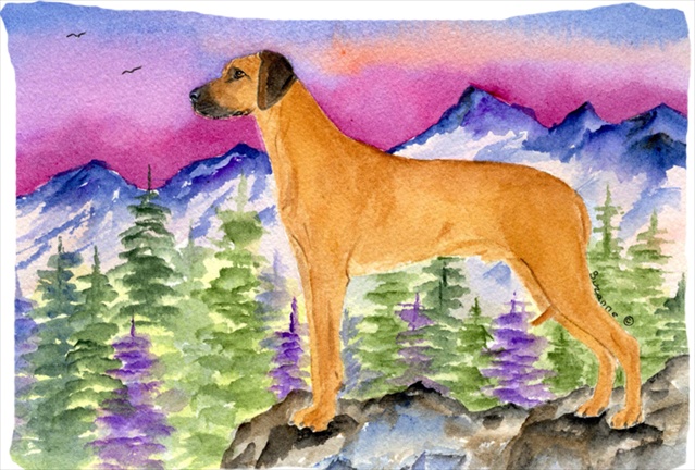 20.5 x 30 in. Rhodesian Ridgeback Moisture Wicking Fabric Standard Pillowcase