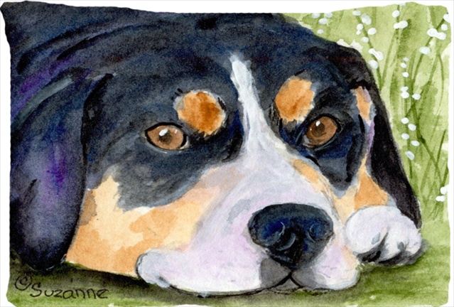 Entlebucher Mountain Dog Moisture Wicking Fabric Standard Pillowcase 20.5 x 30 in.