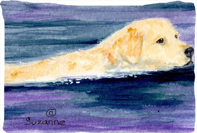 Golden Retriever Moisture Wicking Fabric Standard Pillowcase