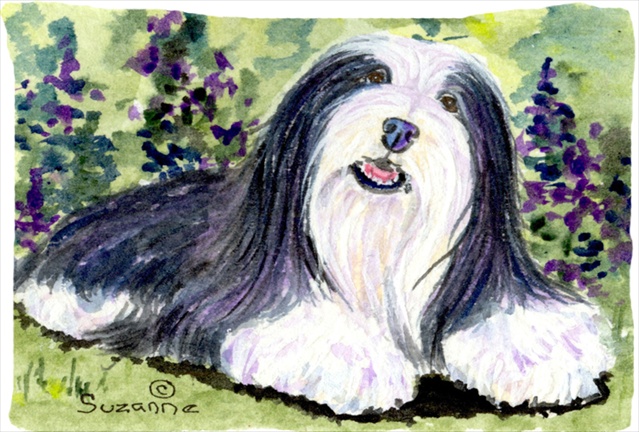 20.5 x 30 in. Bearded Collie Moisture Wicking Fabric Standard Pillowcase