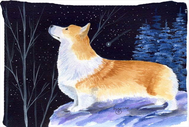 20.5 x 30 in. Starry Night Corgi Moisture Wicking Fabric Standard Pillowcase