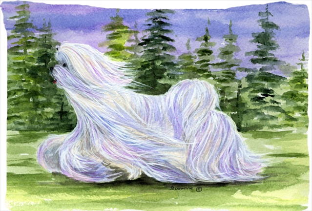 20.5 x 30 in. Maltese Moisture Wicking Fabric Standard Pillowcase